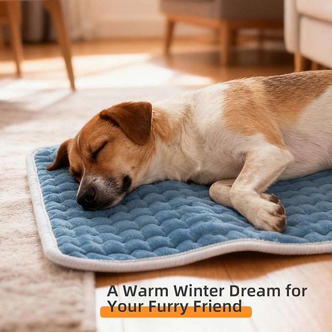 RAINOVA Heating Pad Electric Throw