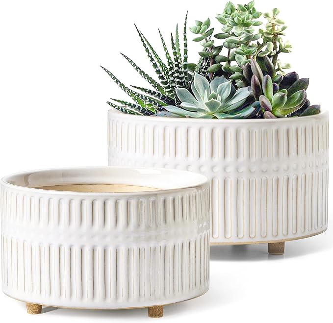 LE TAUCI Succulent Planters, 6.5+8 Inch Ceramic Indoor Plant Pot with Drainage Hole, Shallow Round Succulent Pots, Set of 2, Reactive Glaze White