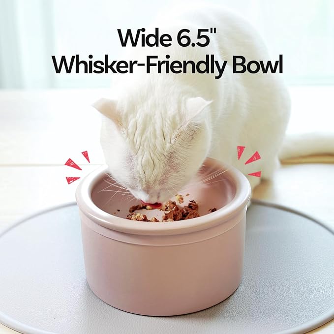 Hello Bowl Elevated Ceramic Cat Bowl with Stand, Raised Whisker-Friendly Feeding Bowl for Cats & Small Dogs, Patented Design, Made in Korea (Pink, Round Only/Wet)
