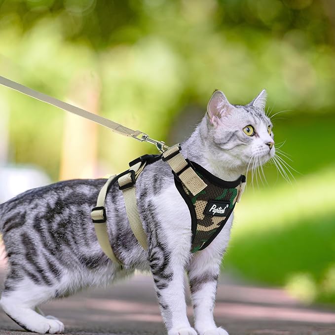 PUPTECK Cat Harness and Leash Set Escape Proof for Walking, Breathable Mash Vest Adjustable Harness for Cats Puppy Small Animals, Reflective at Night, Camouflage Medium