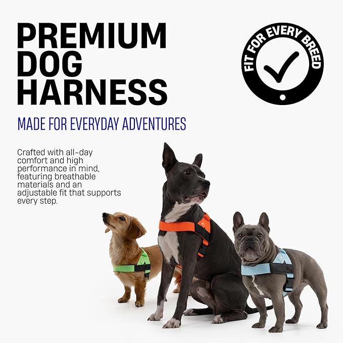 Dog Friendly Co. Dog Harness for Small Dogs (Classic Blue, XXSmall) | One Click Buckle, Chafe Resistant Webbing, Adjustable Neck & Chest, and Heavy Duty D-Ring, Sturdy Comfortable and Easy to Use