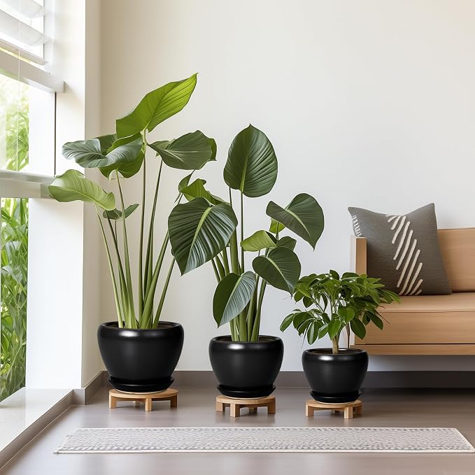 Ceramic Planters Pots - 10 Inch 8 Inch 6 Inch Plant Pots Indoor with Drainage Holes and Saucers Large Planters Mid-Century Flower Pots Outdoor Set of 3 Black