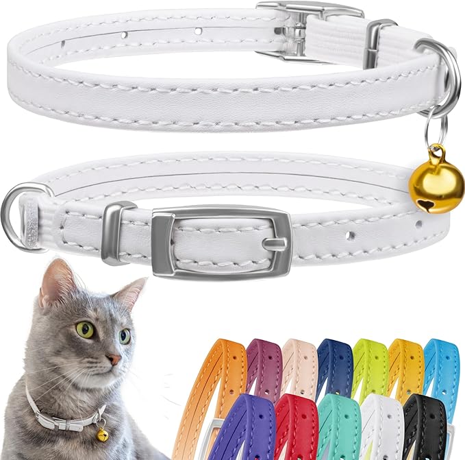 CollarDirect Leather Cat Collar with Bell - Kitten Collar, Small and Big Cat Strap for Boy Cats, Girl Cats with Safety Elastic Strap (Neck Fit 8"-11", White)