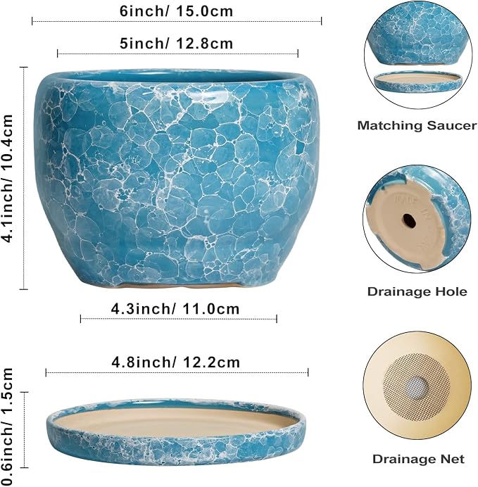 SQOWL 6 Inch Plant Pot - Ceramic Indoor Planter with Drainage Hole and Saucer, Decorative Ceramic Flower Pot Outdoor, Round Succulent Planter, Home Office Room Decor, Gifts for Plant Lovers, Blue