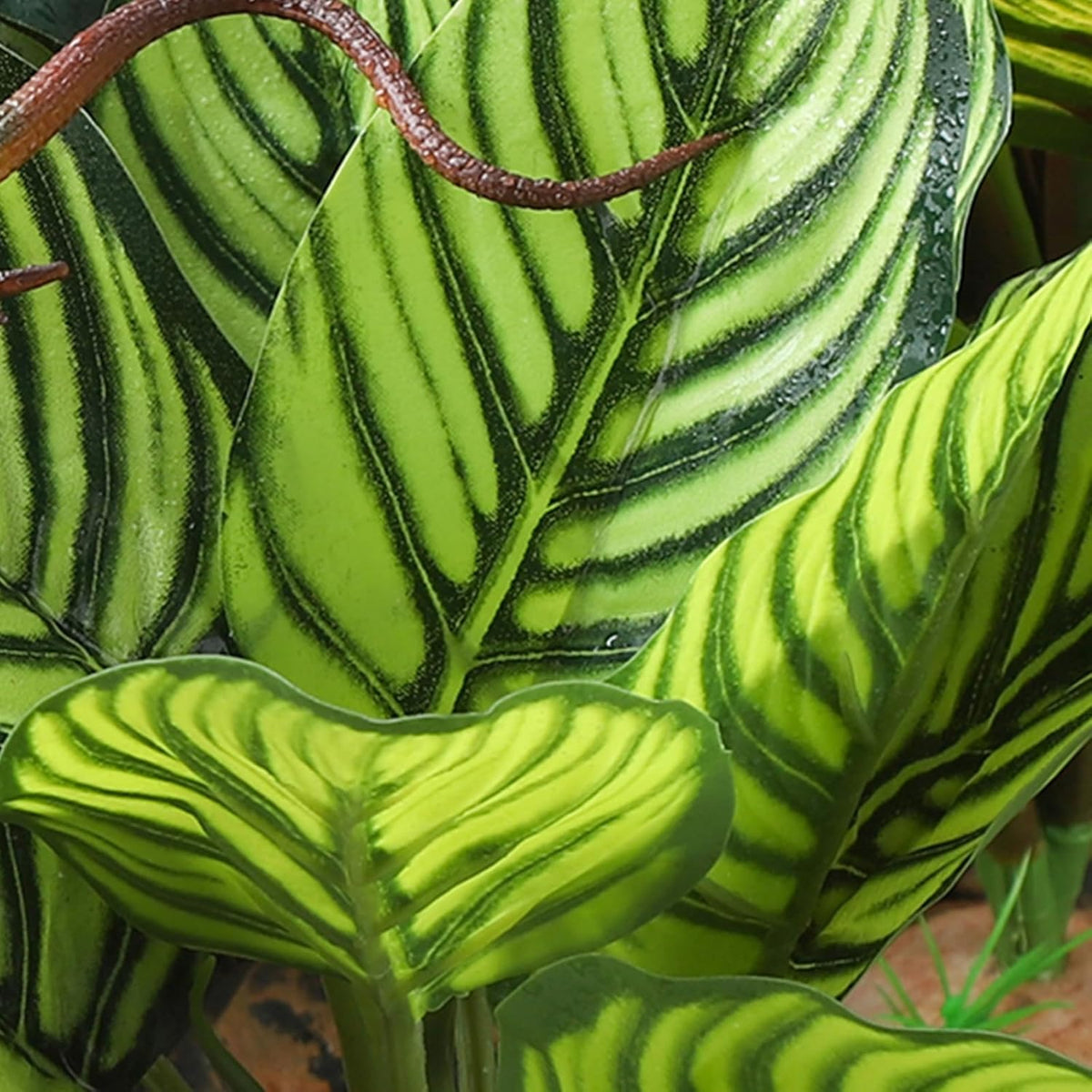 IBWell Reptile Terrarium Plants - Tortoise Habitat Accessories, Artificial Spider Plant for Gecko, Ball Python - Calathea Makoyana A