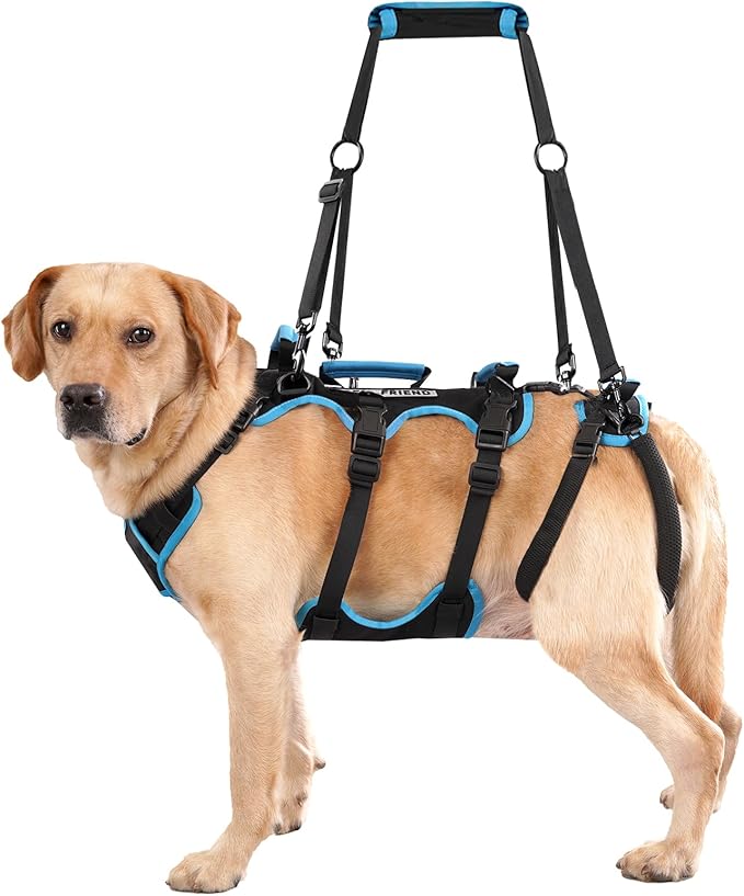 Dog Lift Harness for Medium Male Dogs Friendly, 2 in 1 Detachable Support Harness, Full Body Dog Carrying with 4 Handles for Old/Disabled/Joint Injuries Dogs (Black, Medium)