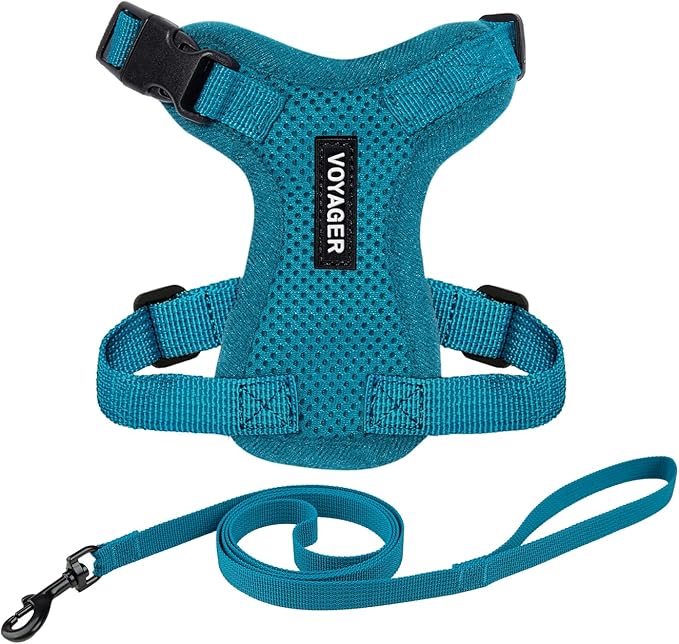 Voyager Step-in Lock Adjustable Cat Harness w. Cat Leash Combo Set with Neoprene Handle 5ft - Supports Small, Medium and Large Breed Cats by Best Pet Supplies - Turquoise, XXS