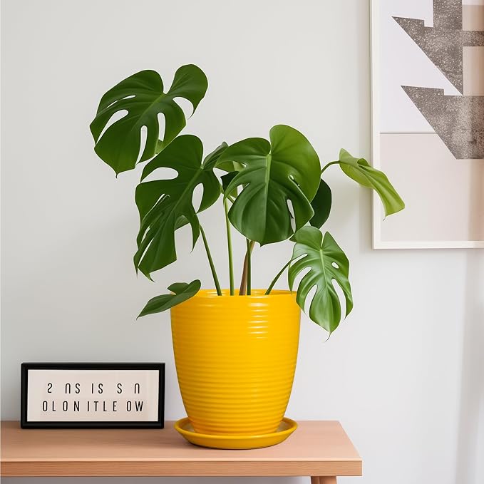 Ceramic Plant Pot - 8 Inch Planter Pot with Drainage Hole and Saucer Round Planter for Indoor Outdoor Plants Flower Pot for Home Patio Garden Office Yellow