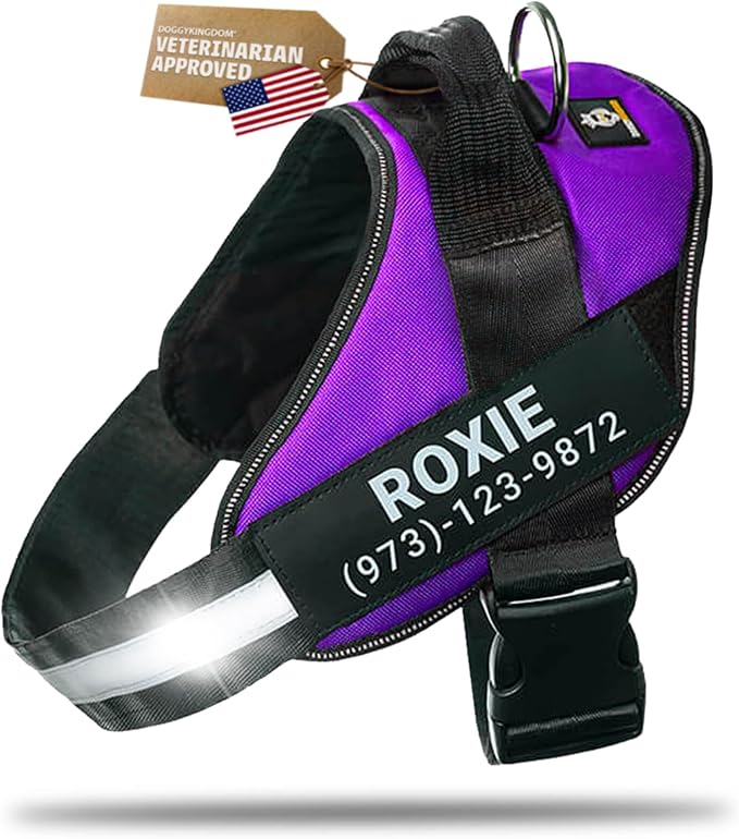 Personalized Dog Harness with Custom Name Patches, Adjustable Reflective No Choke Dog Vest with Handle for Small Sized Dog, Purple, S