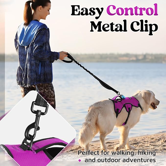 rabbitgoo Escape Proof Dog Harness for Medium, No Pull with Lift Handle | No Escape, Full Soft Padded, Reflective Adjustable Vest, Leash Clip for Walking Hiking Training, Purple, Medium