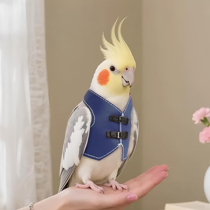 Bird Clothes, Parrot Leather Jacket, Cute Bird Costume Cosplay Photo Prop, Parrot Apparel for Eclectus, Budgerigar, African Greys Parakeet, Conure, Cockatiel, Love Birds-Cowboy Style,Blue,S