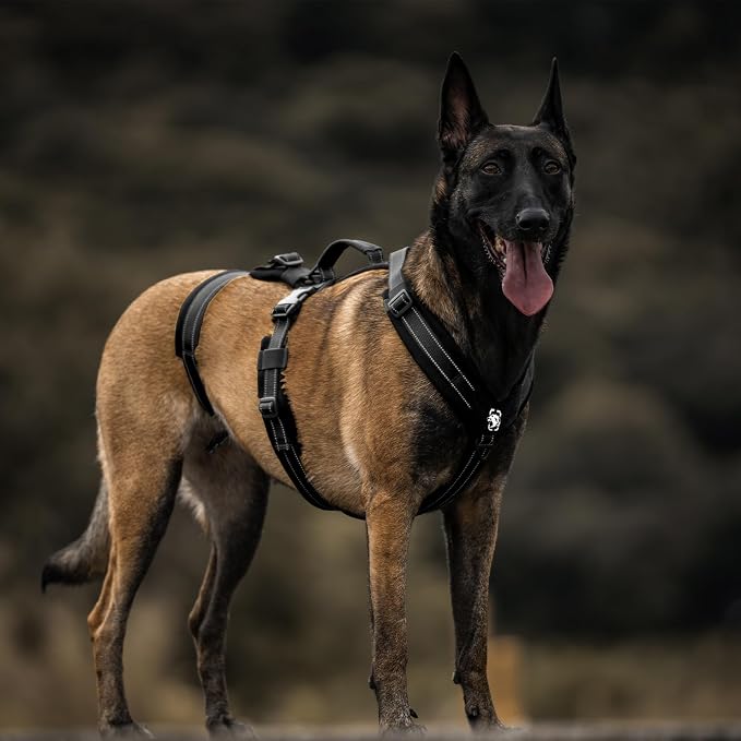 OneTigris Dog Harness No Pull, Adjustable Tactical Harness with Soft Padding, Y-Shaped Reflective Easy Walk Dog Harness for Medium and Large Dogs