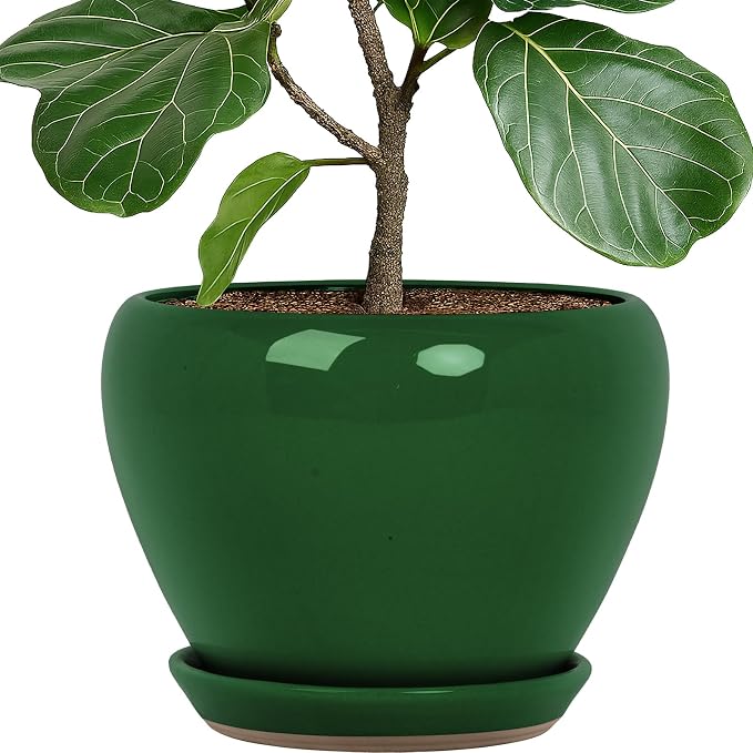 Deep Dream 10 Inch Plant Pot- Ceramic Planter Pot Round Plant Pots for Indoor Plants Outdoor Large Flower Pot with Drainage Holes & Trays, Green