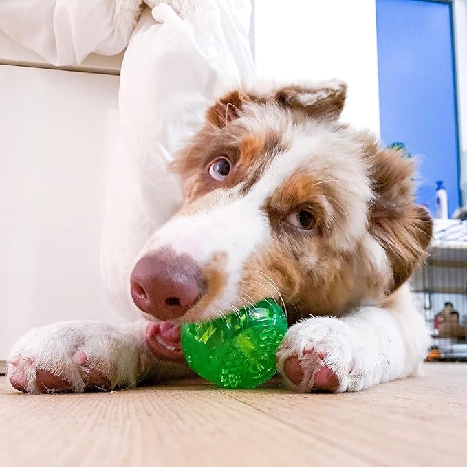 Hyper Pet DuraSqueak Dog Ball Toy, Interactive, Floats, Squeaks, Dog Balls for Fetching, Alternative to Traditional Tennis Balls - for All Breeds