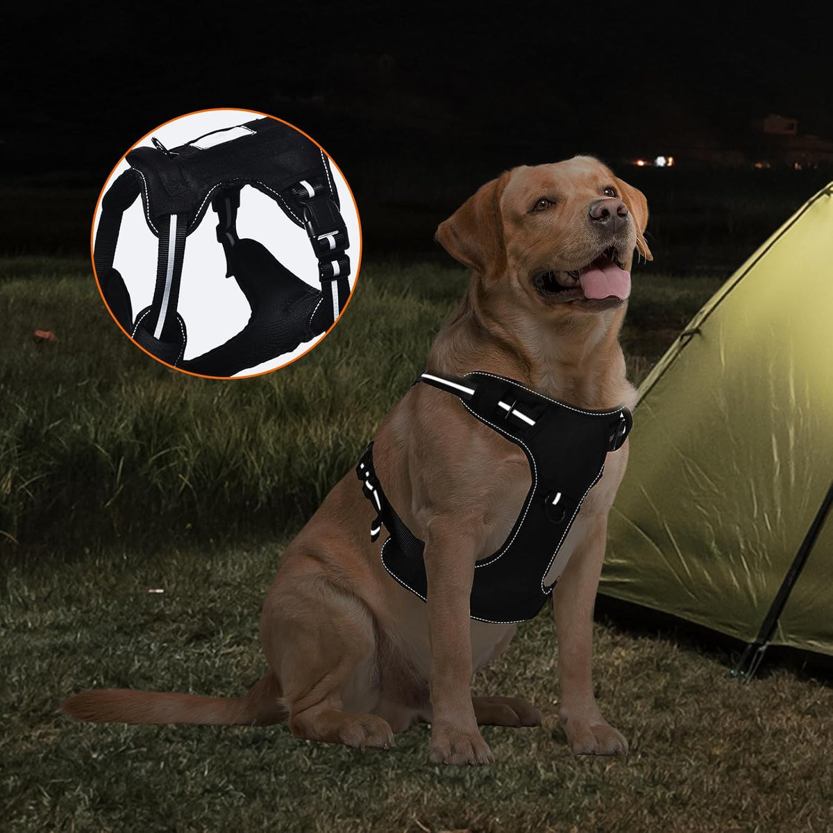 Amazon Basics No Pull Dog Harness, Adjustable Front Clip, Tactical Vest, Medium, Black