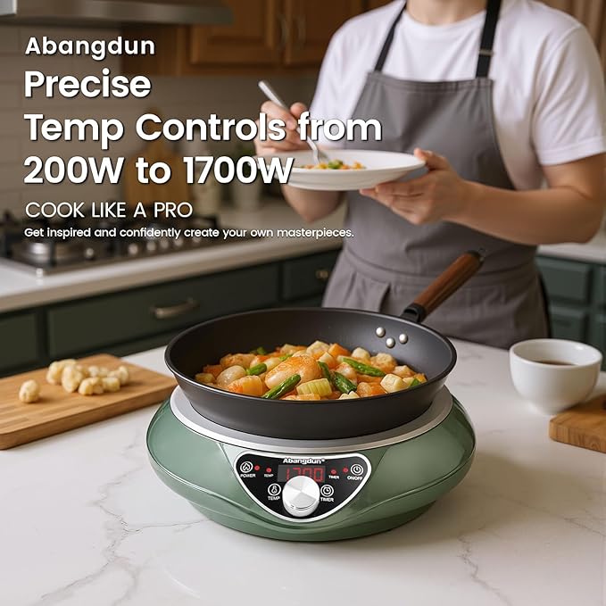 1700W 120V Wok Induction Cooktop, Non-Pulse Heating, 16 Levels, 18H Timer