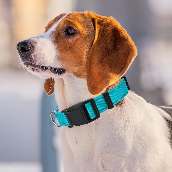 Personalized Embroidered Dog Collar - Custom Hand-Stitched Name & Number, Reflective Adjustable Pet Collar for Small/Medium/Large Dogs & Cats, Durable Nylon with Steel D-Ring (Teal, Large)