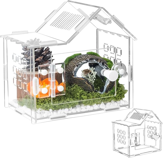 Jumping Spider Enclosure for Small Species, Acrylic Reptile Terrarium Habitat with Feeding Hole for Tarantulas, Praying Mantis, Gecko,Insects, Hermit Crab, Lizard, Snails Isopods - 6"*4"*6"