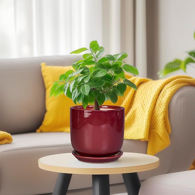 Ceramic Plant Pot - 5 Inch Modern Round Planter for Indoor Plants with Drainage Hole and Saucer, Patio Office House Room Bathroom Decor, Red