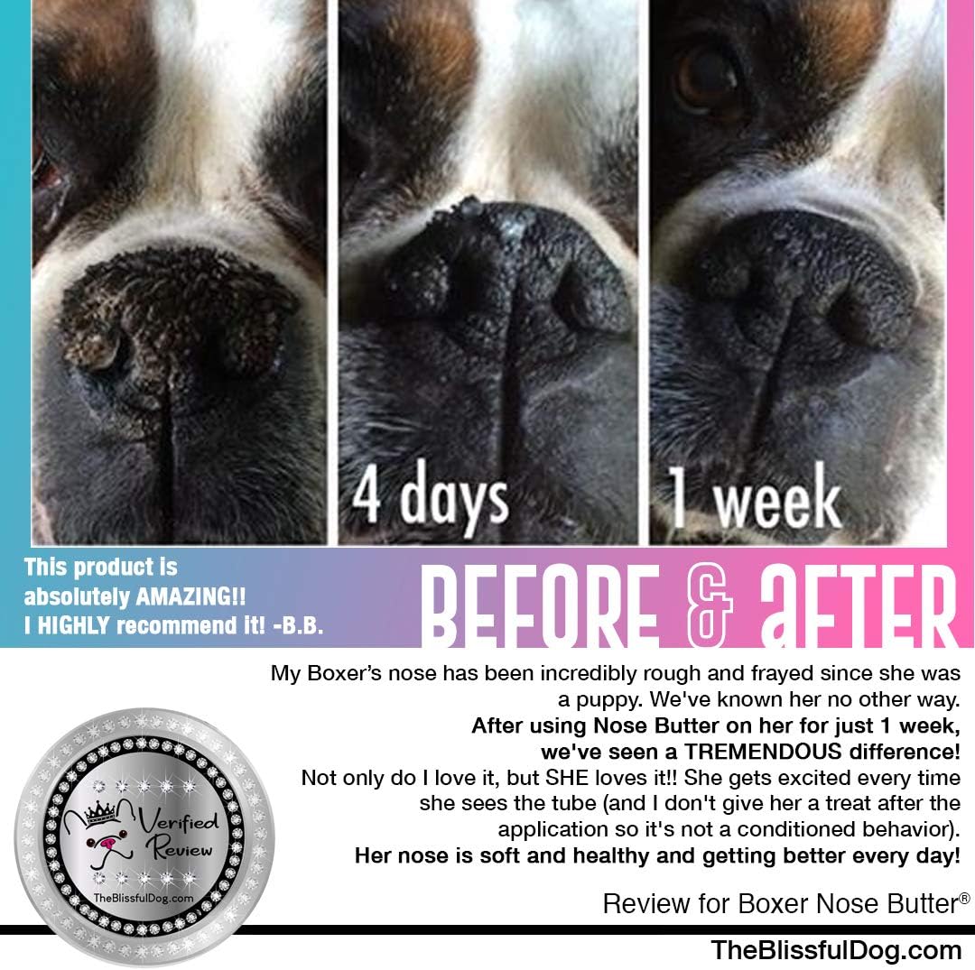 The Blissful Dog White Boxer Nose Butter for Dry, Cracked Skin, Lick-Safe Dog Nose Balm with Moisturizing Shea Butter, Almond, Olive, and Essential Oils, Pet Supplies, Uncented, 8 oz.