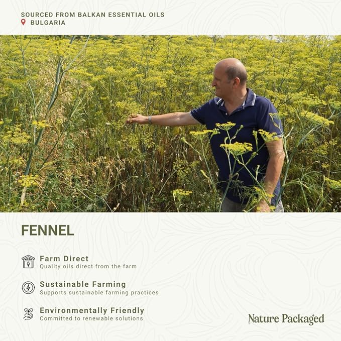 Fennel Essential Oil