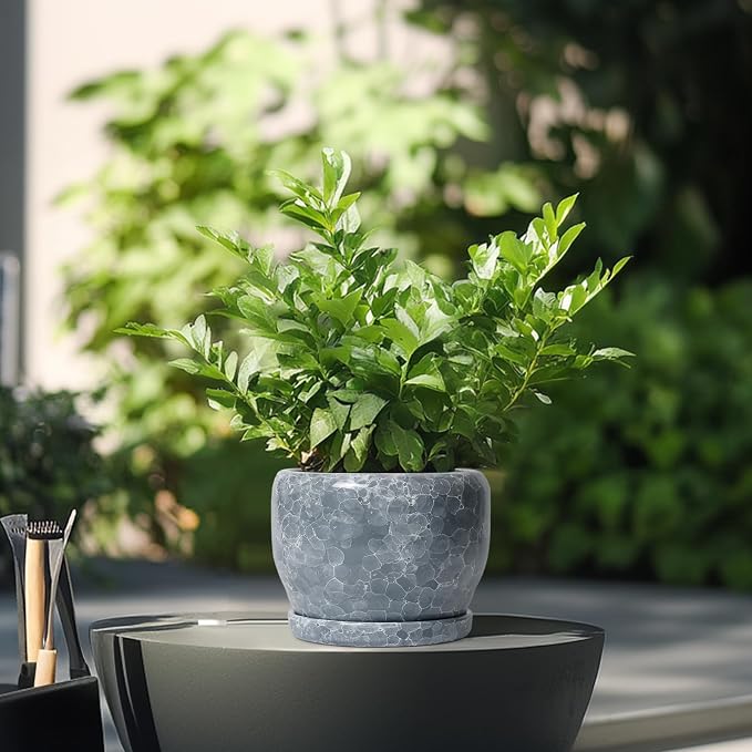 SQOWL 6 Inch Plant pots Indoor - Ceramic Planter with Drainage Hole and Saucer, Ceramic Flower Pot Outdoor, Decorative Round Planter, Home Decor Living Room, Gifts for Plant Lovers, Gray