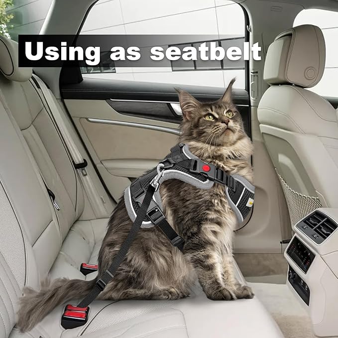 Cat Harness and Leash for Walking, Retractable Cat Harnesses and Leash Set Escape Proof, Breathable Soft Kitten Small Large Harness for Travel Training and Walking, Grey, S