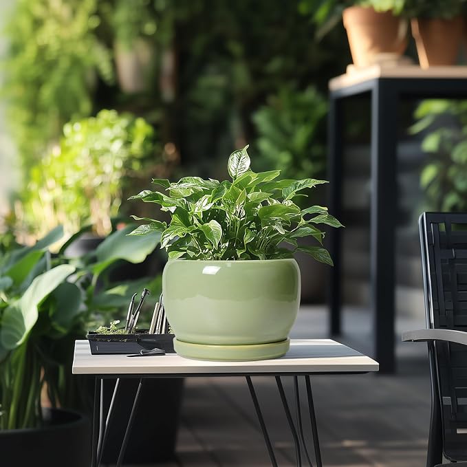 SQOWL 8 Inch Plant Pot - Ceramic Planters with Drainage Hole and Tray, Round Flower Pot for Indoor Plants, Modern Decorative Planters Outdoor, Garden Decor, Housewarming Gifts, Green