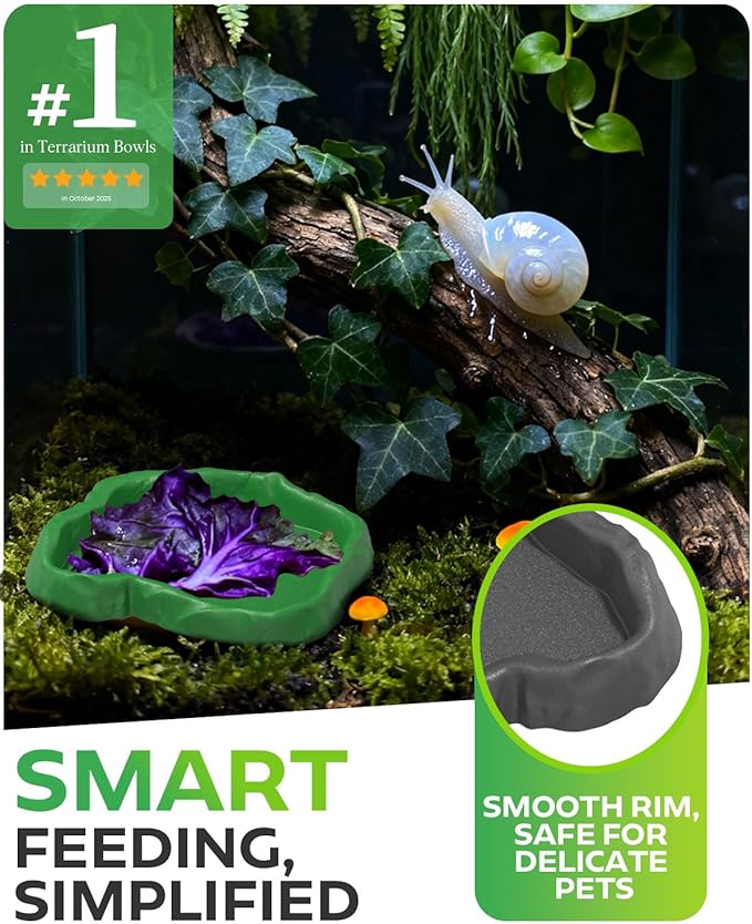 2Pcs Snail Food and Water Bowl, Reptile Water Dish and Food Bowl, Natural Design Terrarium Feeding Dish for Garden Snails, Hermit Crab, Lizard, Frog, Gecko (Black)