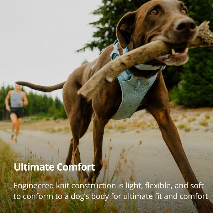 Ruffwear, Front Range Flex Dog Harness, Engineered Knit Construction for Ultimate Fit and Mobility, Lightweight Flexible Everyday Harness with Dual Leash Clips, Deep Teal, Medium