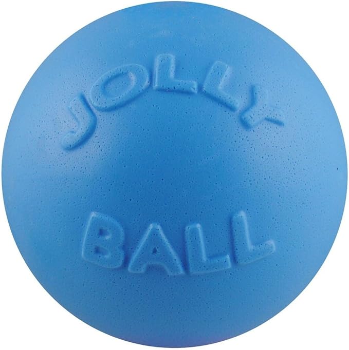 Jolly Pets Bounce-n-Play Dog Toy Ball, 8 Inches/Large, Orange, (Model: 2508 OR)