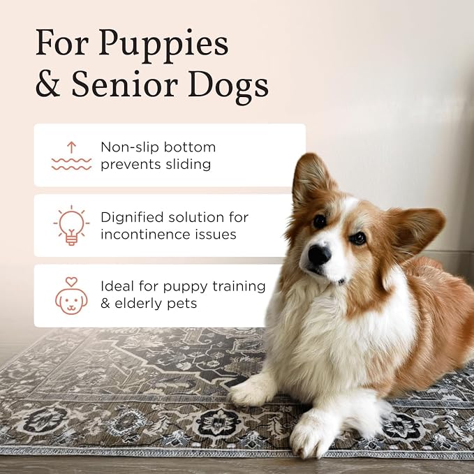 Washable Dog Pee Pads, 16" x 24", Waterproof, Non-Slip, Super Absorbent, Reusable Machine-Washable, 2-Pack (Mystic Fuchsia) | Non-slip, waterproof, absorbent dog pee pads for potty training, whelping, senior dogs, multi-pet households, easy to clean
