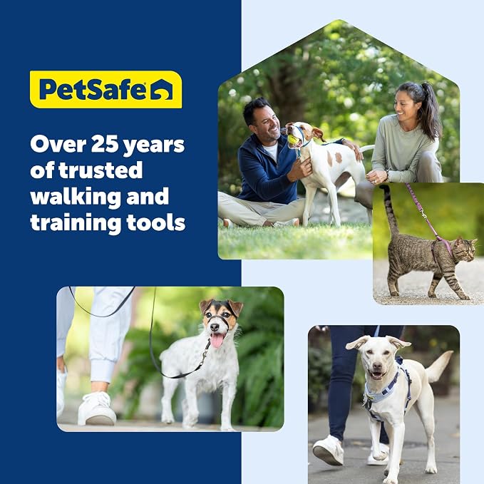 PetSafe Easy Walk Harness, No Pull Dog Harness, Fawn, Small | Patented Martingale Loop Gives Gradual Shoulder Pressure to Stop Pulling, Front-Chest Leash Clip Prevents Gagging