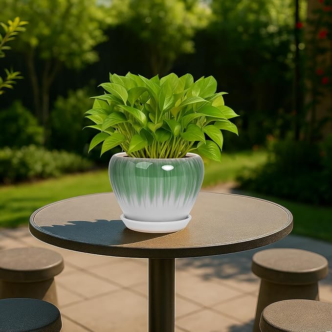 Deep Dream 6 Inch Plant Pots- Ceramic Planter Pot with Drainage Hole and Saucer, Round Flower Pot for Indoor Outdoor Succulent, Snake Plants and Cactus, White&Green
