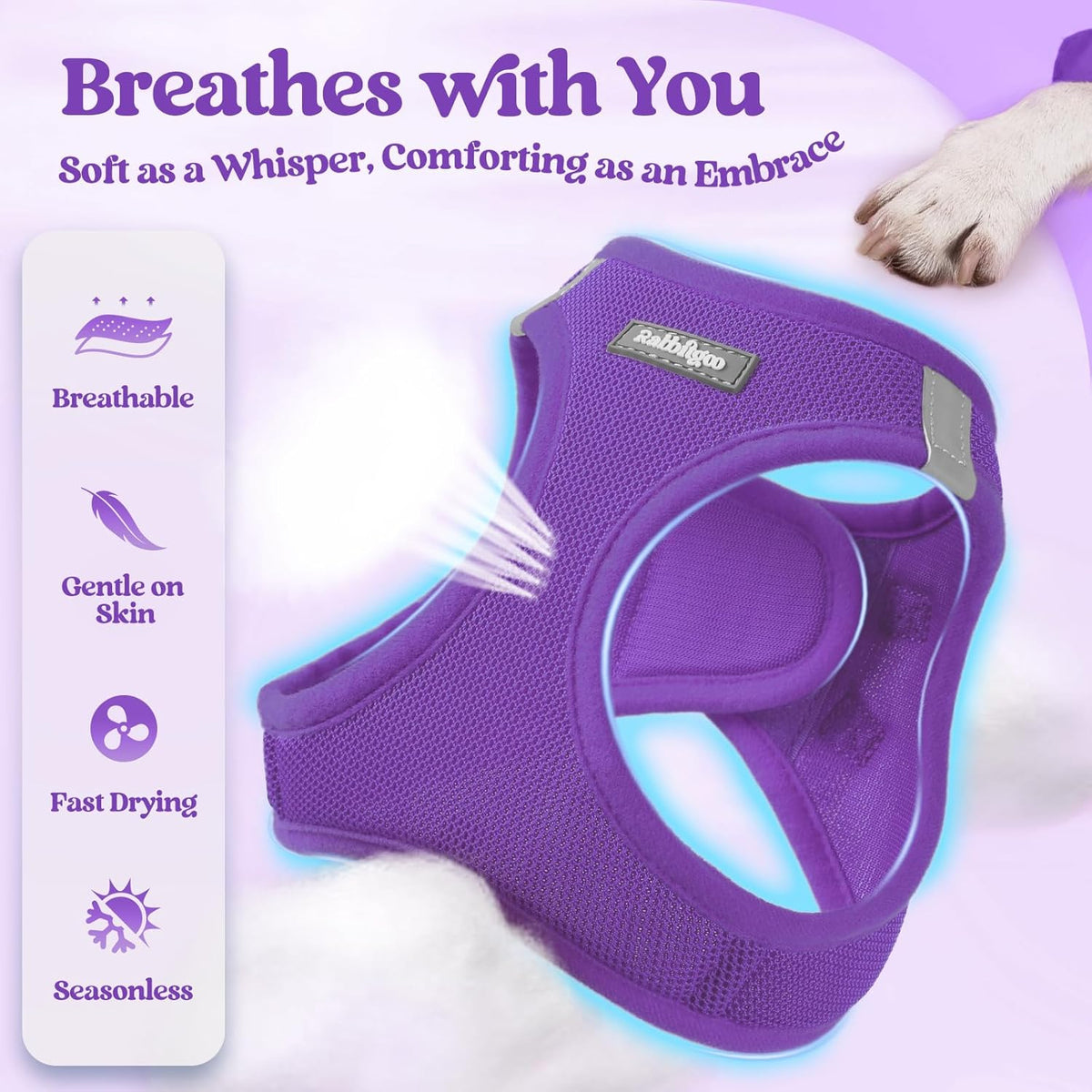 rabbitgoo Dog Harness Small Sized and Leash Set, Step in Soft Light Puppy Vest, Breathable Mesh Pet Harness, Reflective for Safe Outdoor Walking, Purple M