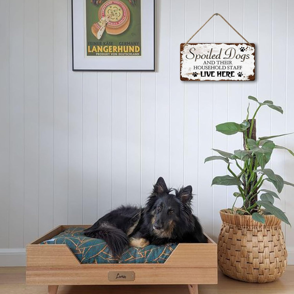 Dog Signs For Home Decor Gifts For Dogs Owners Dog Bedroom Decor Wood Dog Family Decoration Dog Room All You Need Is Love And A Dog Sign Spoiled Dogs And Their Household Staff Live Here Signs 12x6 In