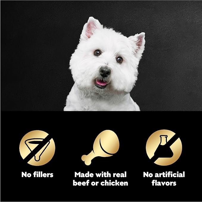 Cesar Filets in Gravy Wet Dog Food Filet Mignon Flavor and Rotisserie Chicken Flavor Variety Pack, 1.76 oz. Mini-Pouches (20 Count, Pack of 2)
