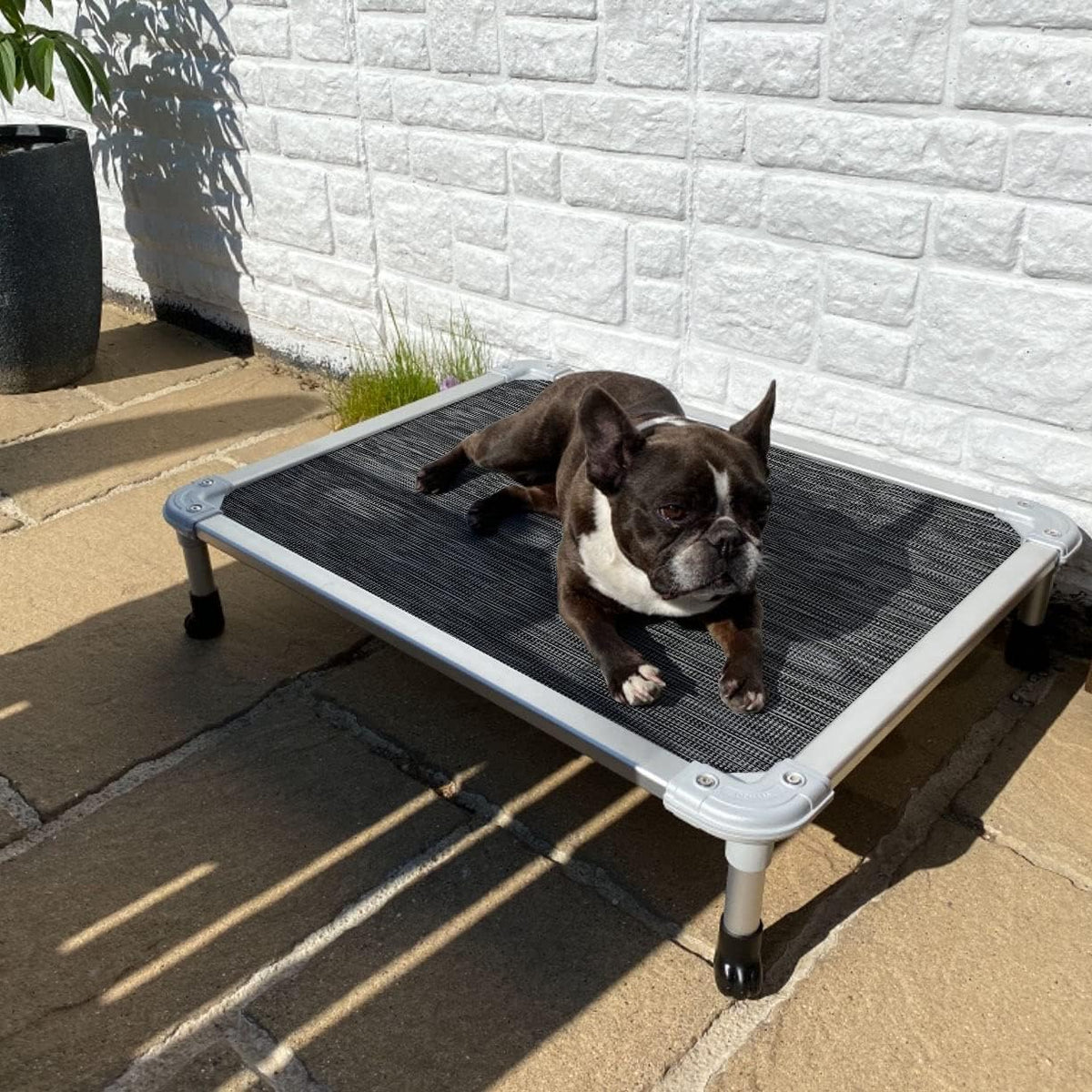 Veehoo Chew Proof Elevated Dog Bed - Cooling Raised Pet Cot - Silver Aluminum Frame and Durable Textilene Mesh Fabric, Unique Designed No-Slip Feet for Indoor or Outdoor Use, Black Silver, Medium