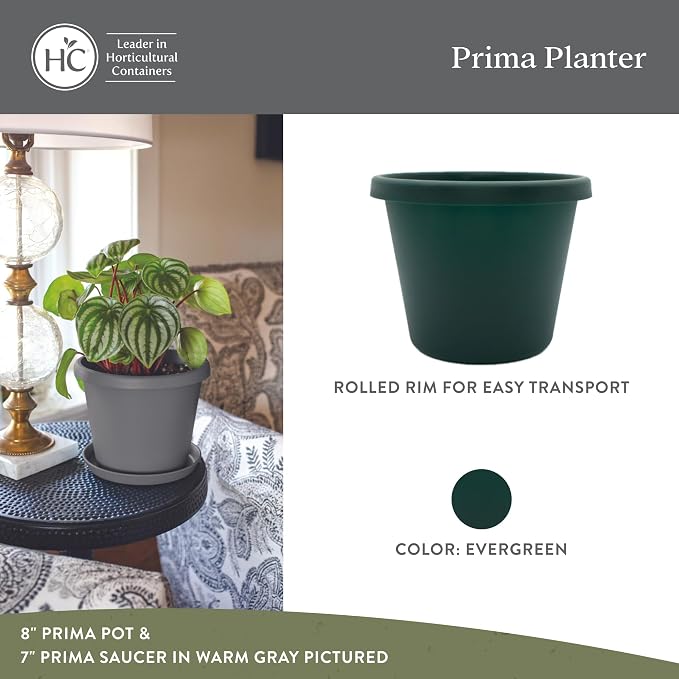 The HC Companies Prima Round Plastic Plant Pot w/Rolled Rim - Lightweight & UV Resistant Flower Pot for Herbs & More - Outdoor & Indoor Plant Pots w/Drainage (8 inch, Evergreen, Pack of 1)