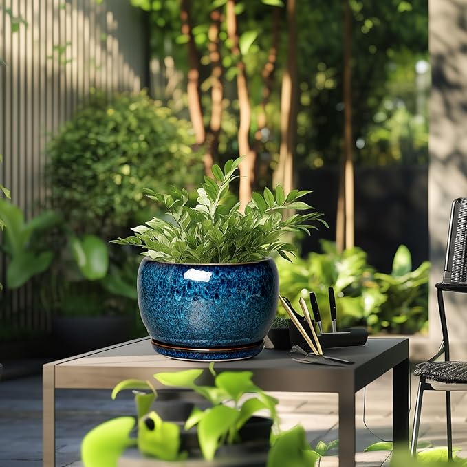SQOWL 10 Inch Plant Pot - Ceramic Planter Pot with Drainage Hole and Saucer, Decorative Plant Pot for Indoor Outdoor Plants, Round Large Planter Flower Pot, Blue
