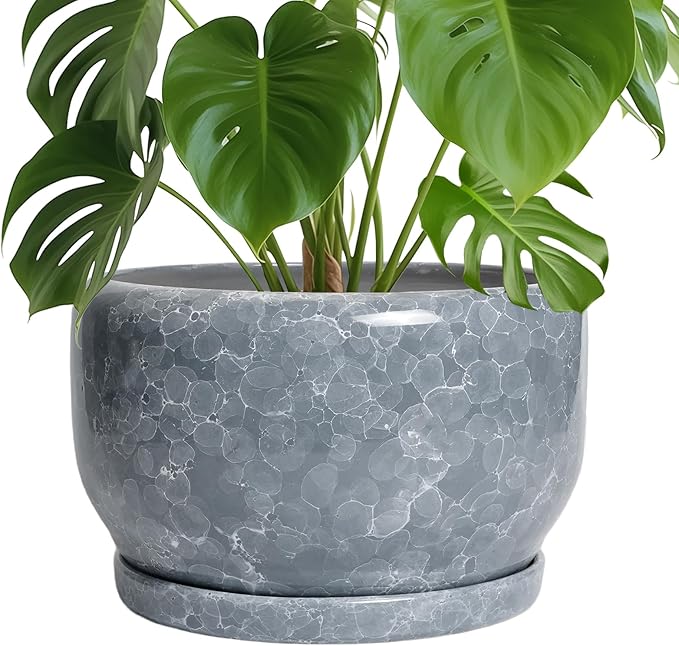 SQOWL Ceramic Pot for Plants - 10 Inch Plant Pot Indoor with Drainage Hole and Saucer, Round Ceramic Planter, Decorative Large Flower Pot Outdoor, Home Office Room Decor, Garden Gifts, Gray