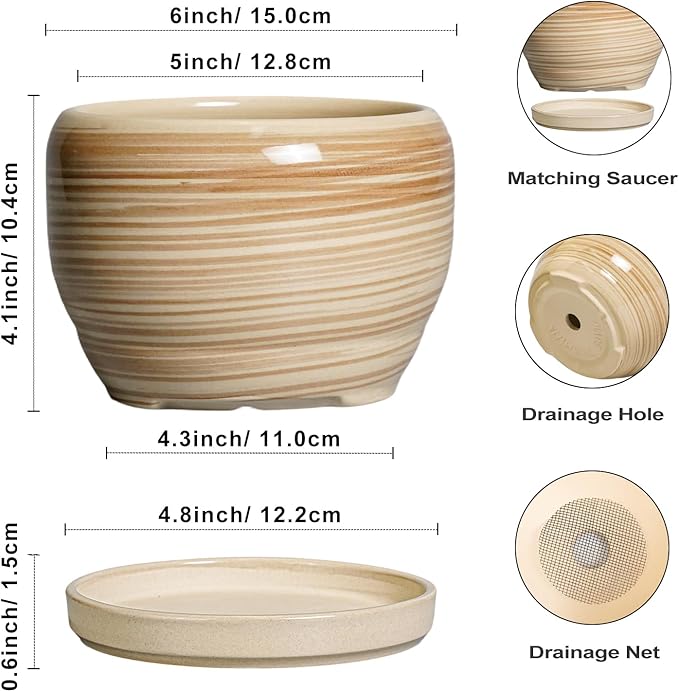 SQOWL Ceramic Pot for Plants - 6 Inch Indoor Planter with Drainage Hole and Tray, Round Modern Flower Pot Outdoor, Decorative Succulent Planter, Kitchen Decor, Gifts for Plant Lovers, Yellow