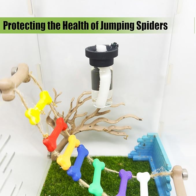 Jumping Spider Water Dispenser, Magnetic Hanging Feeder,Suitable for Jumping Spiders,Tarantulas, Praying Mantises,Arboreal Animals, and Other Small Animal Enclosure Accessories (Black, 10ML)