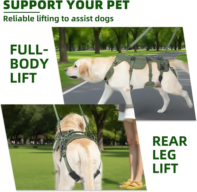 PUPTECK Dog Lift Harness for Medium Large Sized Dog, Rehabilitation Sling for Hind Leg Support, Multifunctional Mobility Assistance Harness for Old, Disabled, Joint Injuries, Paralysis Dogs, Green M