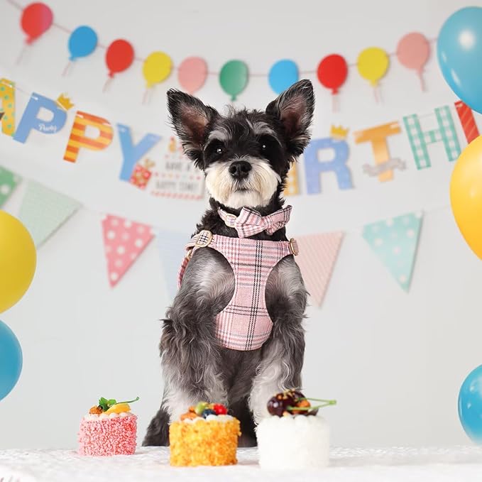 Beirui Cute Small Dog Harness Collar and Leash Set with Bowtie, Soft Adjustable Plaid Puppy Harness for Small Sized Dogs Cats Walks Parties and Photoshoots(Pink,S:Chest 17-23")