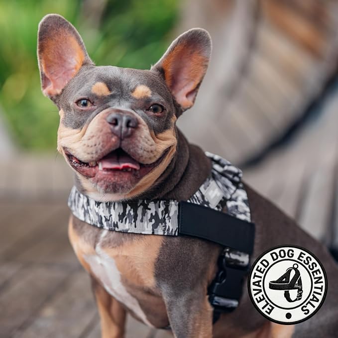 Dog Friendly Co. Dog Harness for Medium Sized Dogs (Grey Camo, Medium) | One Click Buckle, Chafe Resistant Webbing, Adjustable Neck & Chest, and Heavy Duty D-Ring, Sturdy Comfortable and Easy to Use