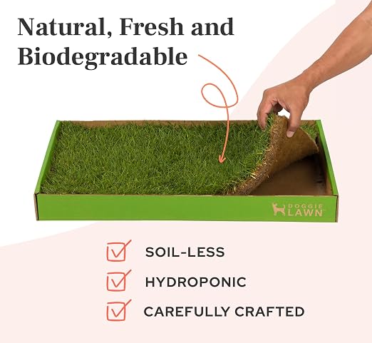 DoggieLawn Real Grass Dog Pee Pads with Tray - Large Dog Potty Pad 24x24 | No-cleaning, odor-reducing puppy potty training pad for housebreaking, indoor or outdoor use, real grass, replace when needed