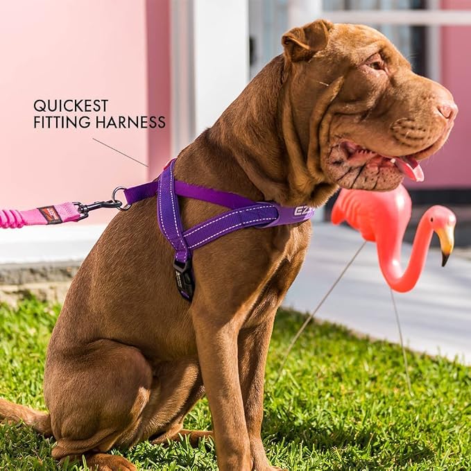 EzyDog Quick Fit Dog Harness, Soft Neoprene Padding - Large, Black | Fast One-Click Buckle, Adjustable Fit, Strong Reinforced Materials, Reflective Stitching, No Pull Dog Harness, Easy Walking