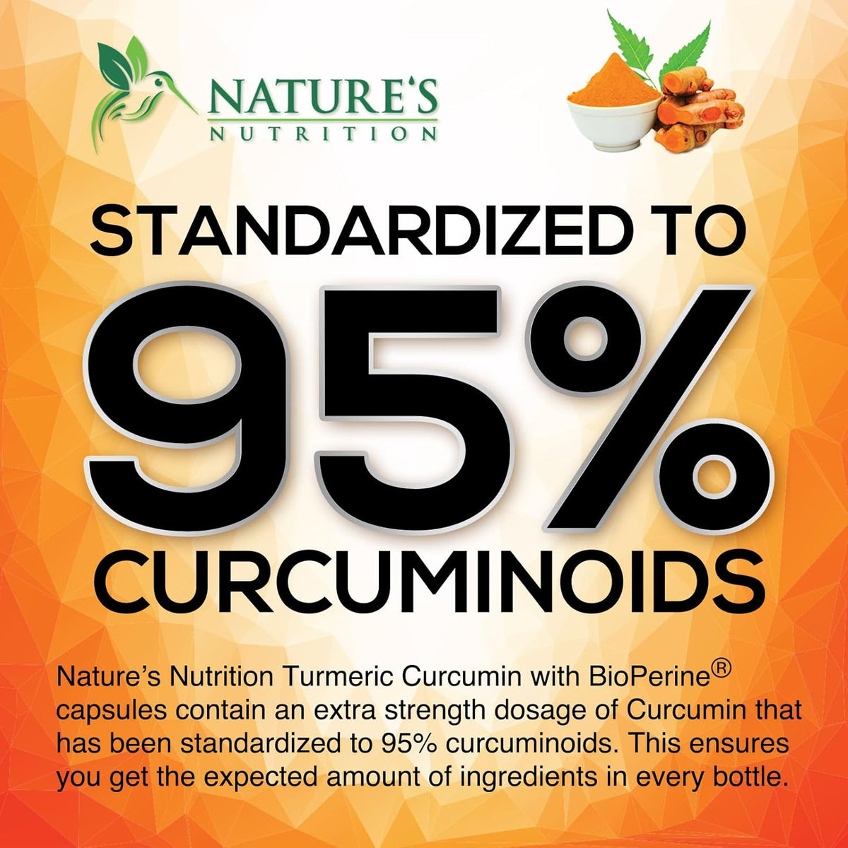 Turmeric Curcumin Supplement 1950mg - 95% Curcuminoids with Organic Turmeric & BioPerine Black Pepper Extract for Best Absorption, Nature's Vegan Joint Support, Non-GMO, Bottled in USA - 120 Capsules