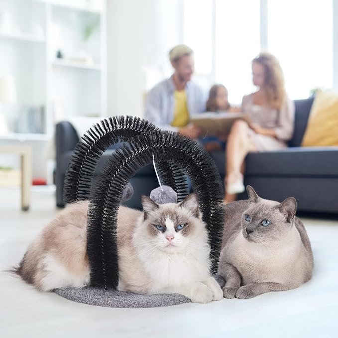 Cat Arch Self Groomer Massager, Kitty Grooming Brush with 2 Brushes and Heavy Plush Base, Cat Face and Back Scratchers, Rubbing Post for Indoor and Outdoor Cats with 2 Plush Balls